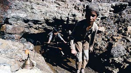 БАӘ-де балалардың құқығы бұзылуда