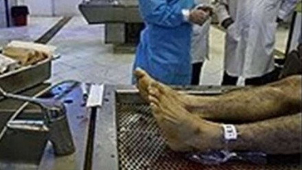 Палестиналықтардың дене мүшелері сионистер тарапынан ұрлануда 