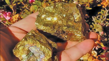 Қазақстанда алтын өндірісі 17 пайызға ұлғайды