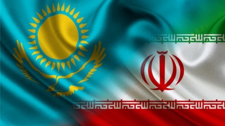 Әл-Фараби атындағы ҚазҰУ-де онлайн-конференция өтті