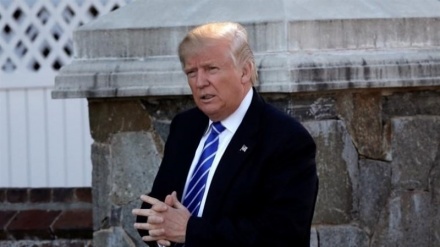 Америкалық ғалымдар Трампқа 