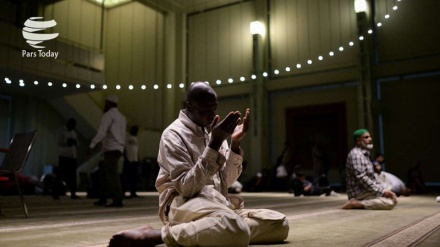 Аспандық жолдаулар (11)