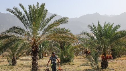 Отыз күн – отыз хикая 8