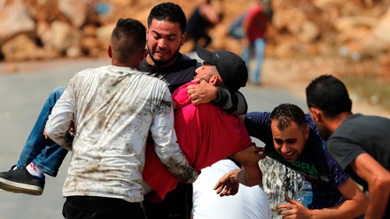 Сионист әскерилердің шабуылында 141 палестиналық жараланды