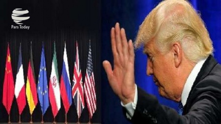 Халықаралық сарапшылар Трампқа «Ортақ қадам» бағдарламасына қатысты ескерту жасады