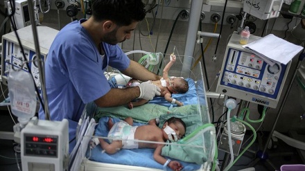 Израильдік бір ұйым Газа секторында адами апаттың орнағанын мойындады