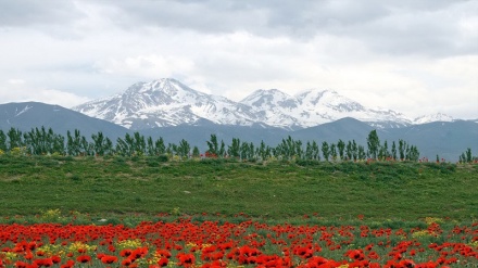 Иран табиғаты:Ардабил, Сабалан беткейлері