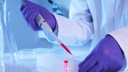 Таяу Шығыста алғашқы діңгекті жасушалар өндіретін зауыт ашылды