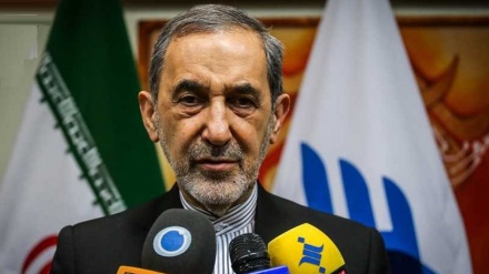 Велаяти: «Ортақ қадам» бағдарламасын жүзеге асыруды қадағалау тобы құрылды