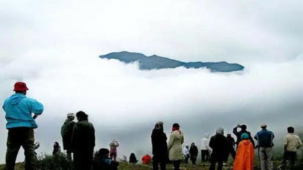 Иран: Абр орманы