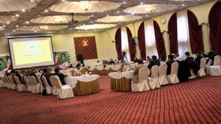 Палестина – Ислам әлемінің басты мәселесі