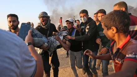 Иран Жоғары сотының адамзат құқығы кеңесі Палестина халқын қыруды айыптады