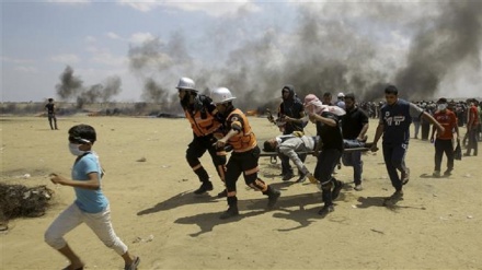 Палестиналықтар 