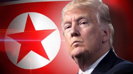 Дональд Трамп Солтүстік Кореяның басшысымен кездеспейтін болды