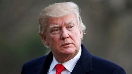 Трамп: 