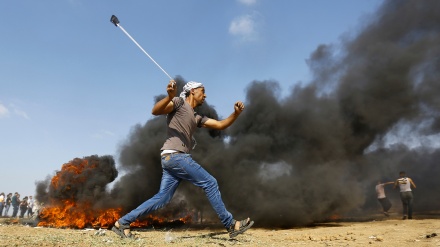 Адам құқығы жөніндегі кеңес Израильден мүшеліктен шығуды сұрады