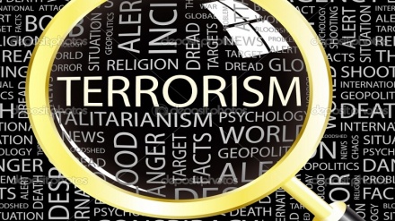 Батыс елдерінің қамқорлығындағы лаңкестік