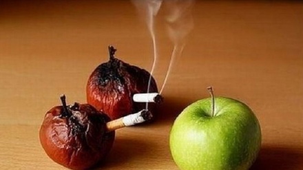 Есірткіге қарсы күресте жастарға көңіл бөлудің маңыздылығы