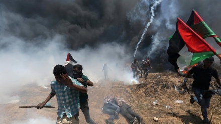 UNRWA-ның баспасөз хатшысы: Газа үлкен абақтыға айналды