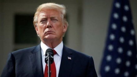 Трамп тағы қиялға ерік берді