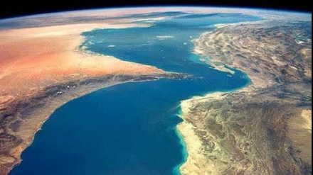 Каспий теңізінде бекіре балығының контрабандистері ұсталды