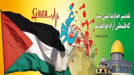 Газа – Палестина халқы қарсылығының көрінісі