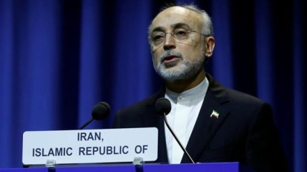 Салехи: Иран бейбіт мақсатты ядролық бағдарламасын кеңейтуді жалғастырады
