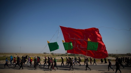 Кербала көтерілісіндегі ақыл мен махаббаттың жақындасуы