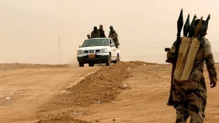 Ал-Хашд аш-Шааби: ДАИШ Сирия арқылы иприт газын Иракқа енгізді