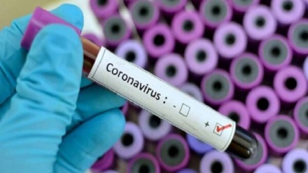 Қытайдың жануарларға жасаған коронавирус вакцинасының сынағы сәтті өтті
