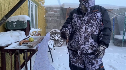 -53° жағдайда  өмір сүру