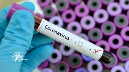 Қазақстанда коронавирус жұқтырған 6 адам анықталды