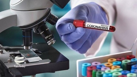 Қазақстанда коронавирус жұқтырғандардың саны 44-ке жетті