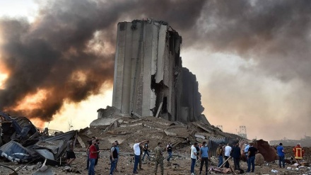 Бейрут жарылысына реакциялар