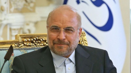 Иран мен Ресейдің Парламенттерінің төрағалары аймақтағы өзгерістер жайлы кеңесті