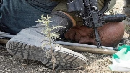 Сионистік әскерилер «мойынға тізе қою» сценарийін қайталады