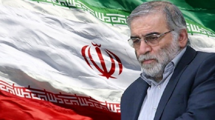 Иран Қорғаныс министрлігінің Зерттеу және инновация ұйымының басшысы лаңкестік шабуылда шәһид болды