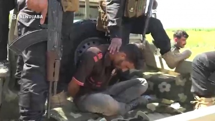 «Ноджаба» ДАИШ-тың қатерлі мүшесін құрықтады