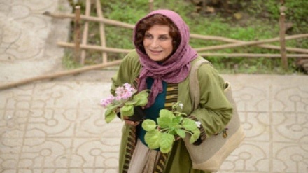 Ирандық фильм 