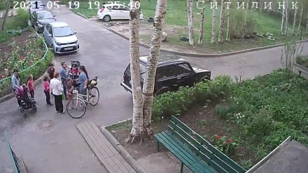  Әйелдің үстіне ағаш құлады