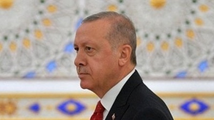 Оппозициялық топтар Ердоғанның ​​отставкаға кетуін және мерзімінен бұрын сайлау  өткізуді талап етті