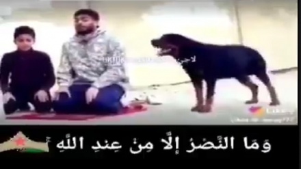 Израильдік иттің намаз оқып жатқан палестиналыққа шабуыл жасауының таңғаларлық сахнасы