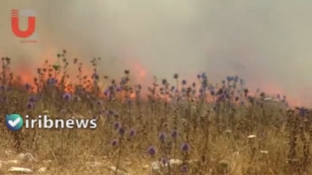 Сионистік қалашықтар тұрғындарының Палестина жерлерін өртеуі туралы видео