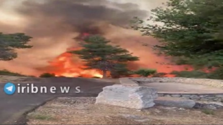 Басып алынған Құдста ауқымды өрт шықты