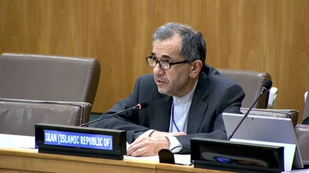 Тахтраванчи: Израильдің қылмысы жазасыз қалмауы тиіс