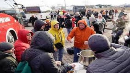 Польша шекарасында украиндық пана іздеушілер толқыны