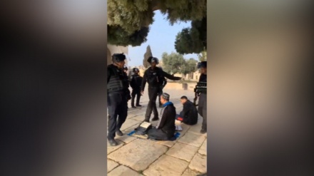 Сионистік әскерилер палестиналық қариді қоршады