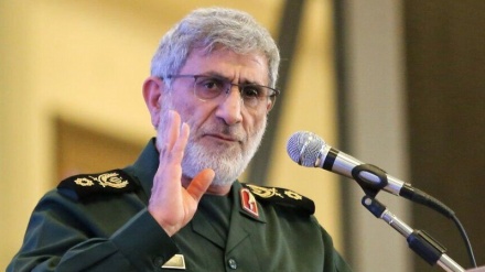 Сардар Каани: Әлемде сионистік режимге қарсы күресетін кез келген топты қолдаймыз 