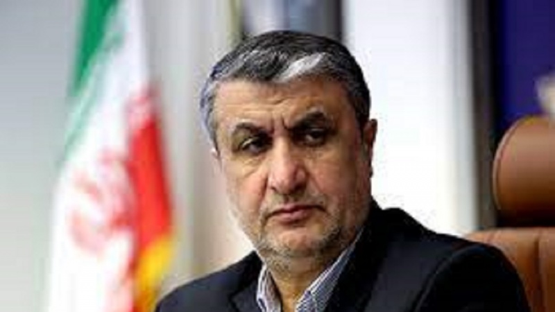 Ислами: Иран жасырын ядролық жұмыстармен айналыспайды 