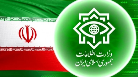 Иран Барлау министрлігі: ДАИШ лаңкестік тобының 10 мүшесі ұсталды